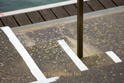 Monatsthema Treppen - Fotografin Nicole Gieseler