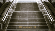 Monatsthema Treppen - Fotograf Olaf Kratge