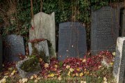 Monatsthema Vergänglich - Fotografin Jutta R. Buchwald