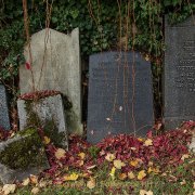 Monatsthema Vergänglich - Fotografin Jutta R. Buchwald