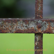 Monatsthema Vergänglich - Fotografin Nicole Gieseler