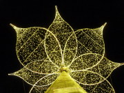 Monatsthema Vorweihnachtliches - Fotografin Anne Jeuk
