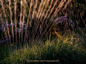 Monatsthema Wasser - Fotografin Anne Jeuk