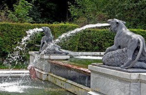 Monatsthema Wasser - Fotografin Anne Jeuk