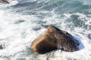 Monatsthema Wasser - Fotografin Jutta R. Buchwald