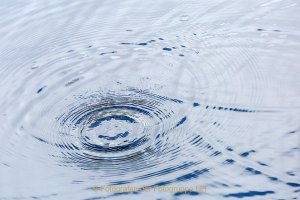 Monatsthema Wasser - Fotografin Jutta R. Buchwald