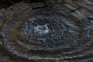 Monatsthema Wasser - Fotograf  Werner Ch. Buchwald