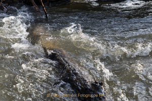 Monatsthema Wasser - Fotograf  Werner Ch. Buchwald
