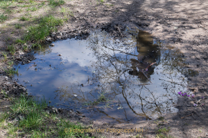 Monatsthema Wasser - Fotograf  Werner Ch. Buchwald