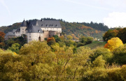 Monatsthema Wald - Fotograf Albert Wenz