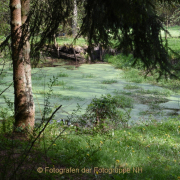 Monatsthema Wald - Fotograf Christoph Fuhrmann