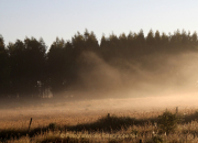 Monatsthema Wald - Fotograf Helmut Joa