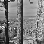 Monatsthema Wald - Fotograf Stefan Zimmermann