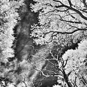 Monatsthema Wald - Fotograf Stefan Zimmermann