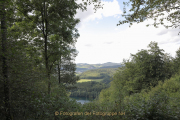 Monatsthema Wald - Fotograf Werner Ch. Buchwald