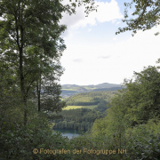 Monatsthema Wald - Fotograf Werner Ch. Buchwald