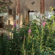 Niedernhausener Impressionen - Fotograf Helmut Joa