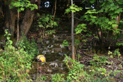 Niedernhausener Impressionen - Fotograf Helmut Joa