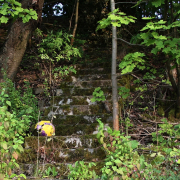 Niedernhausener Impressionen - Fotograf Helmut Joa