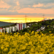 Niedernhausener Impressionen - Fotograf Michael Häckl