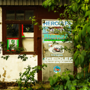 Austraße ehemals Horlebein - Fotografin Jutta R. Buchwald