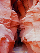 Fotografin Anne Jeuk - USA / Antilope Valley