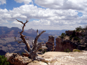 Fotografin Anne Jeuk - USA / Grand Canyon