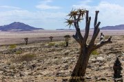 Fotografin Jutta R. Buchwald - Namibia