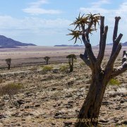 Fotografin Jutta R. Buchwald - Namibia