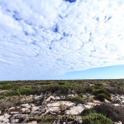 Fotografin Jutta R. Buchwald - West Australien/Houtman Abrolhos Archipel