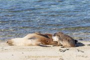Fotografin Jutta R. Buchwald - West Australien/Houtman Abrolhos Archipel