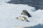 Fotografin Jutta R. Buchwald - Antarktis