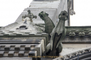Fotografin Nicole Gieseler - Paris