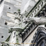 Fotografin Nicole Gieseler - Paris