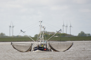 Fotograf Thomas Stähler - Westerhever