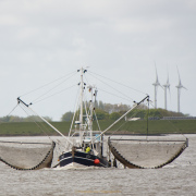 Fotograf Thomas Stähler - Westerhever