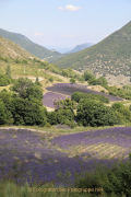 Fotograf  Werner Ch. Buchwald - Provence