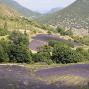 Fotograf  Werner Ch. Buchwald - Provence
