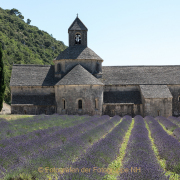 Fotograf  Werner Ch. Buchwald - Provence