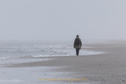 Fotograf  Werner Ch. Buchwald - Amrum