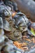 Fotowalk Frühling auf dem Friedhof - Fotograf Clemens Schnitzler