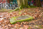 Fotowalk Frühling auf dem Friedhof - Fotografin Nicole Gieseler