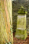 Fotowalk Frühling auf dem Friedhof - Fotografin Nicole Gieseler