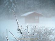 Winterlandschaften - Fotografin Anne Jeuk