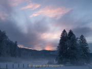 Winterlandschaften - Fotografin Anne Jeuk