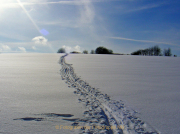 Winterlandschaften - Fotografin Anne Jeuk