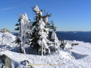 Winterlandschaften - Fotografin Anne Jeuk