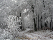Winterlandschaften - Fotografin Anne Jeuk