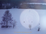Winterlandschaften - Fotografin Anne Jeuk