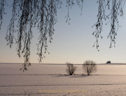 Winterlandschaften - Fotografin Anne Jeuk
